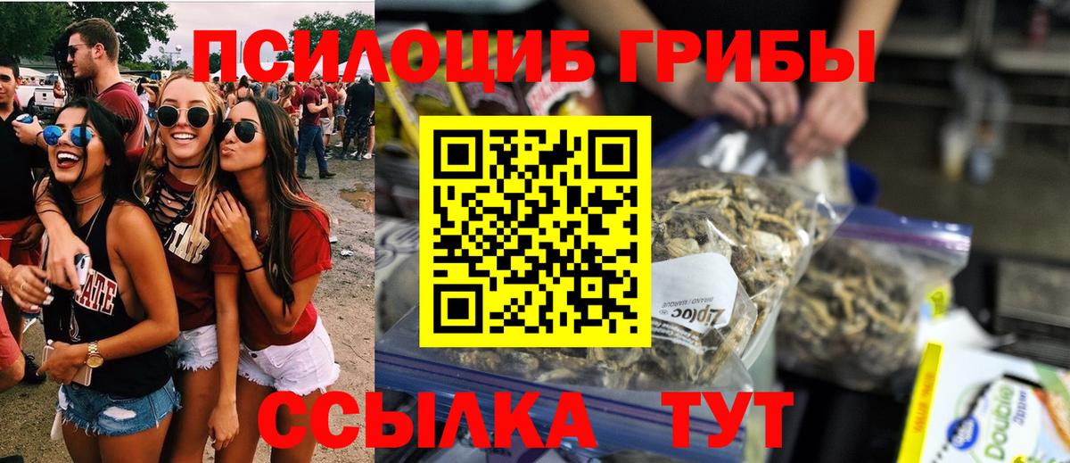 Галлюциногенные грибы Psilocybine cubensis  Псилоцибиновые грибы Cubensis  Киселёвск  Вход с VPN 